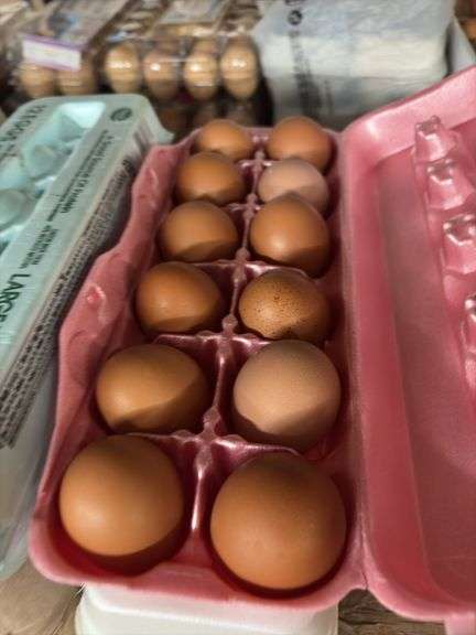 3 Doz Brown Pullet Eating Eggs