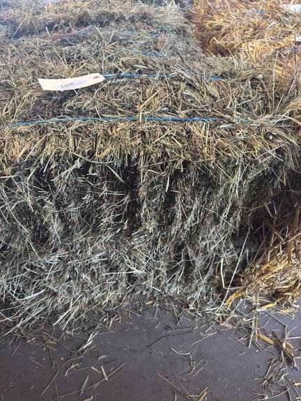 2 Mini Bales 1st Cut Mixed Hay (2025)