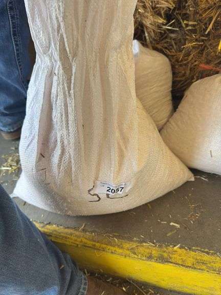 Bag of Shelled Corn - Approx. 28lbs