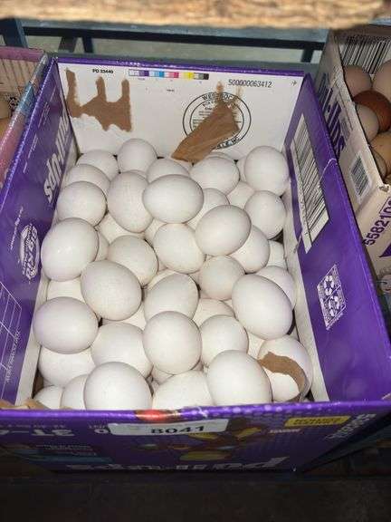 10 Doz Jumbo White Eating Eggs