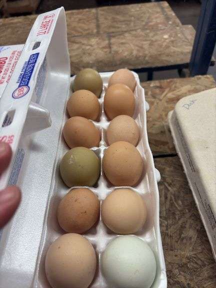 2 Doz Large Mixed Eating Eggs