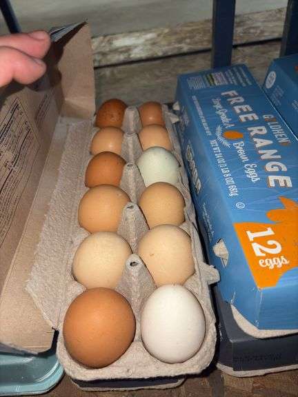 4 Doz Mixed Large/XL Eating Eggs