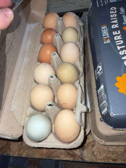 4 Doz Mixed Large/XL Eating Eggs
