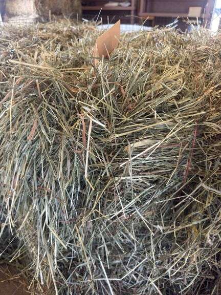 2 Bales 1st Orchard Grass (2025)