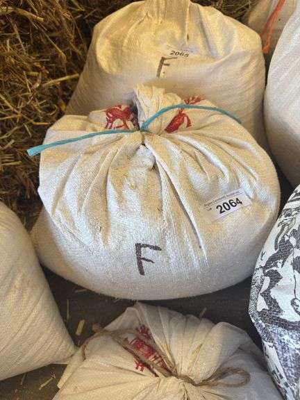 Bag of Feed - Corn, Oats, Molasses & Minerals - Approx. 25lbs