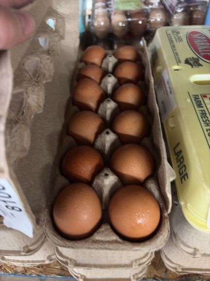 3 Doz Brown Pullet Eating Eggs