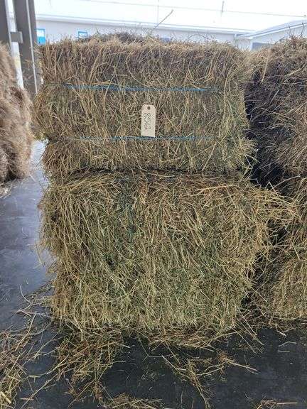 15 3rd Alfalfa Grass