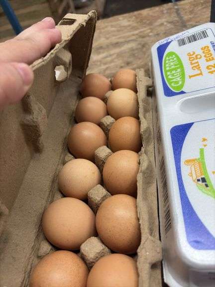 2 Doz Large Brown Eating Eggs