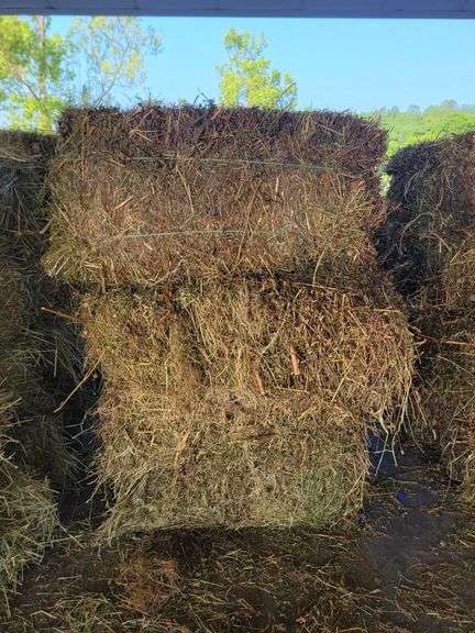 15 Rye Grass & Winter Wheat Straw
