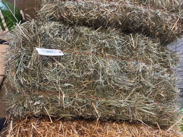 2 Bales 1st Orchard Grass (2025)