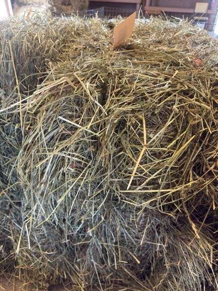 2 Bales 1st Orchard Grass (2025)