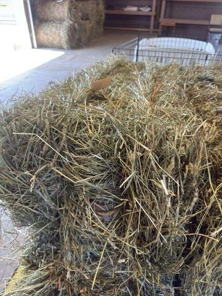 2 Bales 1st Orchard Grass (2025)