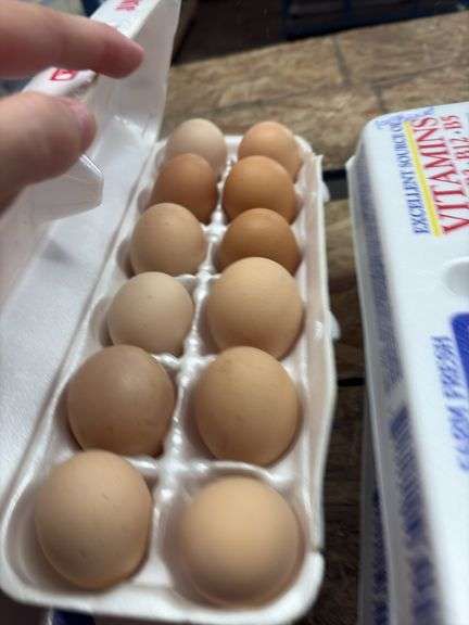 2 Doz Large Brown Eating Eggs