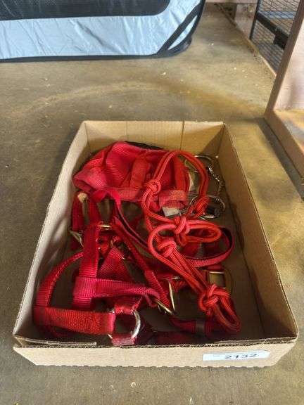 Mini Horse Tack - 3 Halters, Grazing Muzzle & Misc