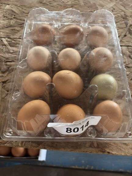 3 Doz Brown Eating Eggs