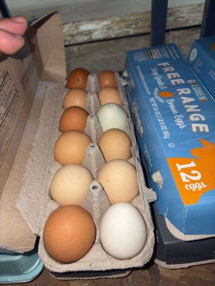 4 Doz Mixed Large/XL Eating Eggs