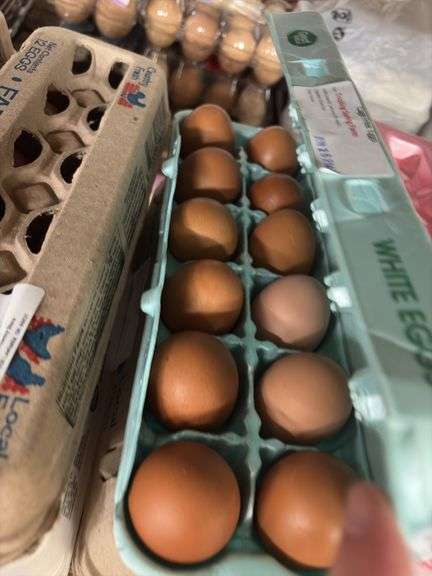 3 Doz Brown Pullet Eating Eggs