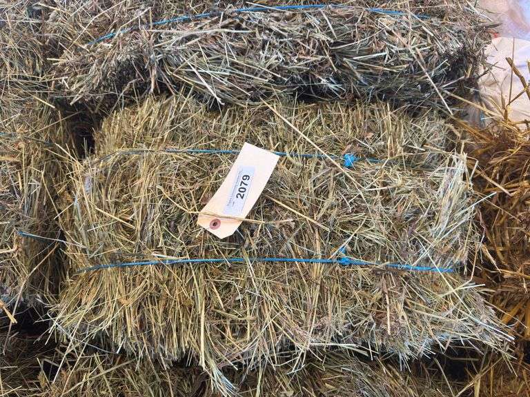 2 Mini Bales 1st Cut Mixed Hay (2025)