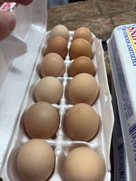 2 Doz Large Brown Eating Eggs