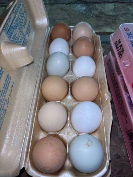 2 Doz Mixed Eating Eggs