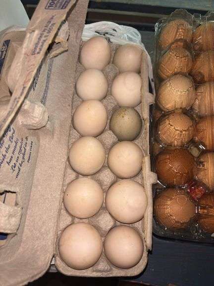 4 Doz Duck Eating Eggs