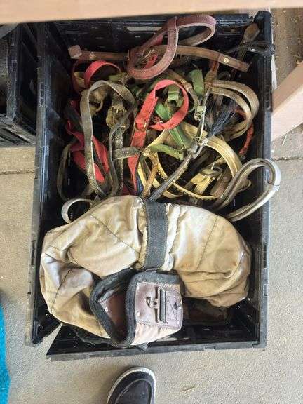 Lot of Misc Horse Tack