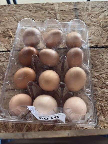 3 Doz Brown Eating Eggs