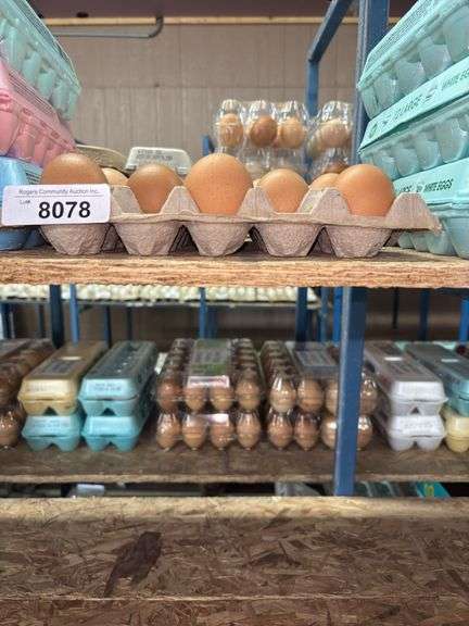 15 Super Colossal Brown Eating Eggs