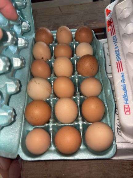 1.5 Doz Large Eating Eggs - Unwashed