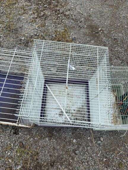Medium Bird Cage