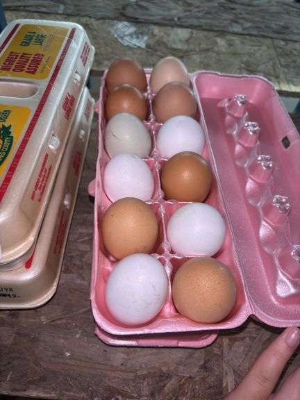 2 Doz Mixed Eating Eggs