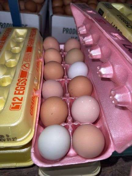 4 Doz Mixed Eating Eggs - Unwashed