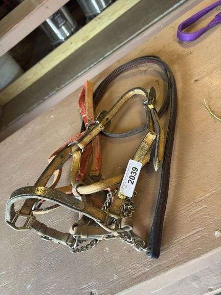 Pony Show Halter w/ Lead & Extra Halter