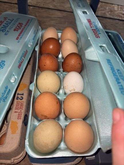 4 Doz Mixed Large/XL Eating Eggs