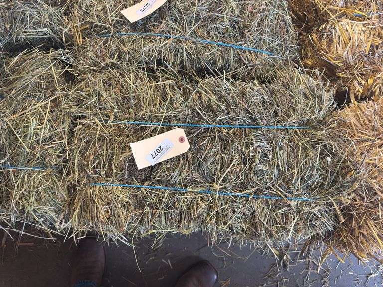 2 Mini Bales 1st Cut Mixed Hay (2025)