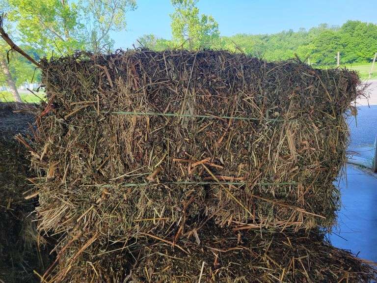 15 Rye Grass & Winter Wheat Straw