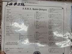 Proven Thriantra Doe w/ Pedigree