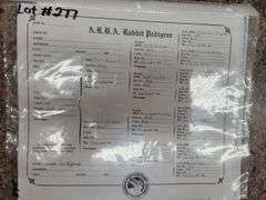 Proven Thriantra Doe w/ Pedigree
