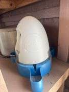 Duck Waterer