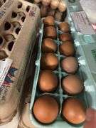 3 Doz Brown Pullet Eating Eggs