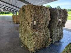 2 Large Squares 2nd Alfalfa Timothy (3x3)