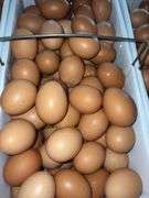 8 Doz Large Brown Eating Eggs