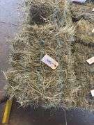 5 Mini Bales 1st Cut Mixed Hay (2025)