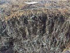 2 Mini Bales 1st Cut Mixed Hay (2025)
