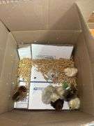 8 Mixed Chicks - Silkies & Mottled Cochin Banties