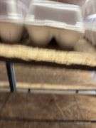 2 Doz Large Brown Eating Eggs