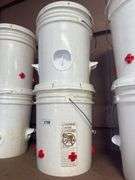 Chicken Waterer & Feeder Bucket
