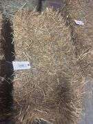 2 Bales Oat Straw