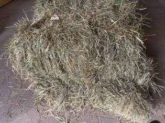 2 Bales 1st Cut Grass (2025)