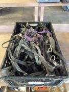 Lot of Horse Tack & 2 Mini Driving Harnesses